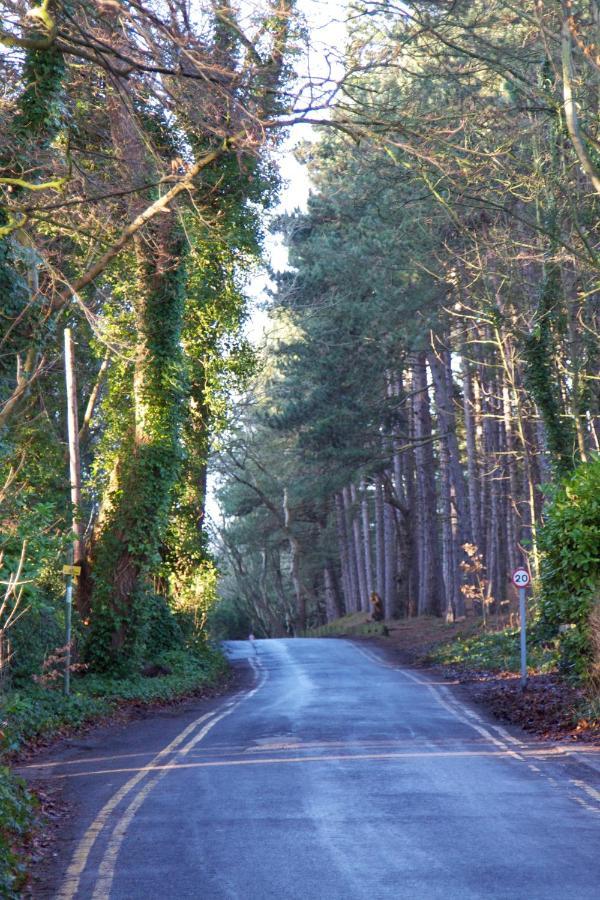 Bed and Breakfast Formby Pinewood Studio Zewnętrze zdjęcie
